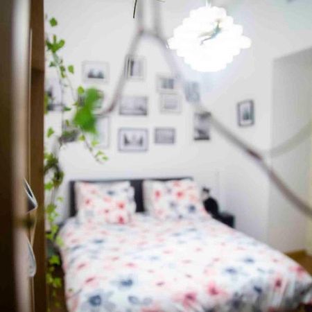 Fred's Home GuestRoom - VieuxPort - "A room at Home" - LgbtFriendly Marseille Extérieur photo